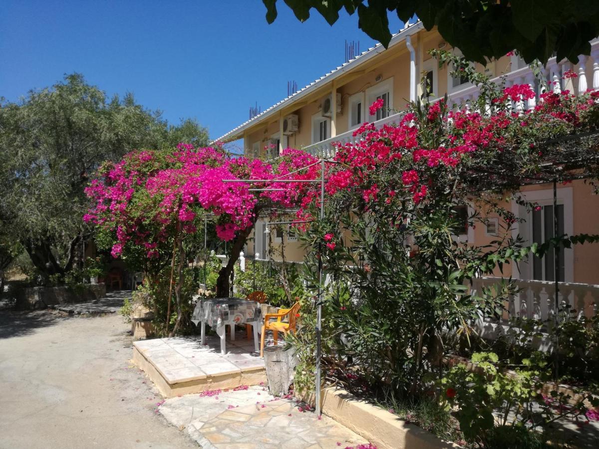 Casa Dyonisia Tsilivi Aparthotel Planos  Exterior photo