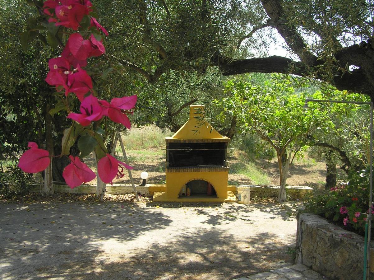 Casa Dyonisia Tsilivi Aparthotel Planos  Exterior photo